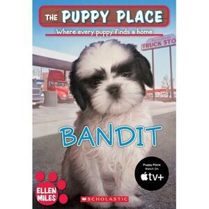 The Puppy Place #24: Bandit: Volume 24 -- Ellen Miles